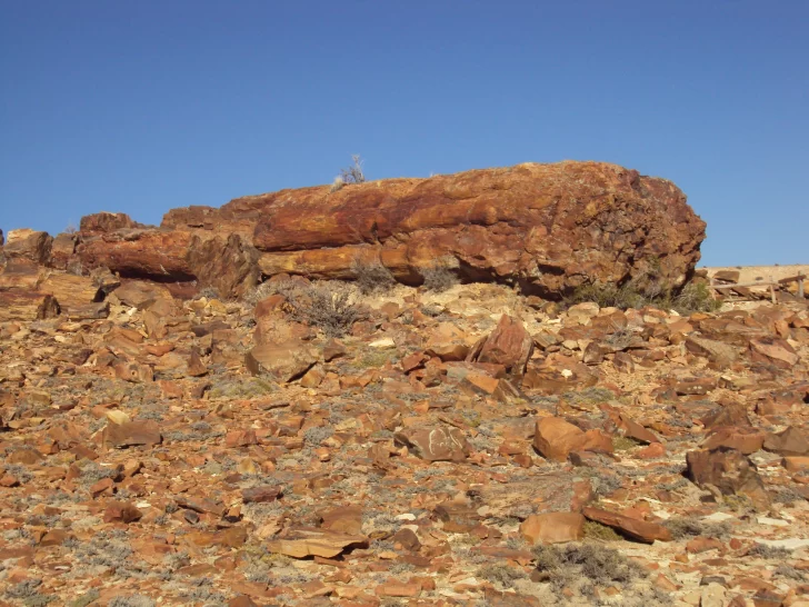  Yacimiento paleontológicoPN y MN Bosques Petrificados de Jaramillo, Santa Cruz. Foto: Mónica Mienvelle