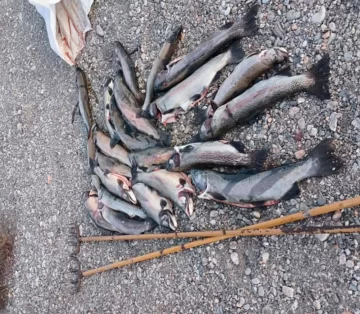 Multas y secuestros de equipos por pesca ilegal durante la veda en el interior de Sant Cruz Multas y secuestros de equipos por pesca ilegal durante la veda en el interior de Sant Cruz