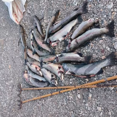 Multas y secuestros de equipos por pesca ilegal durante la veda en el interior de Sant Cruz