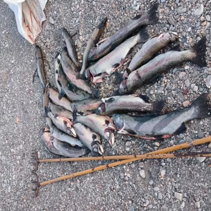 Multas y secuestros de equipos por pesca ilegal durante la veda en el interior de Sant Cruz Multas y secuestros de equipos por pesca ilegal durante la veda en el interior de Sant Cruz