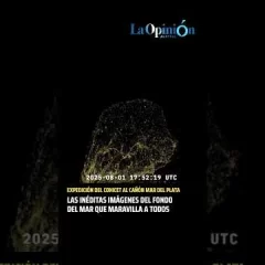 Imágenes impactantes del fondo marino registradas por el CONICET