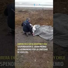 Suspenden el Gran Premio de la Hermandad