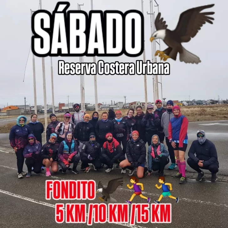  El entrenador de Águilas del Sur recomendó entrenar en grupo ante la posibilidad de un nuevo ataque de un animal.