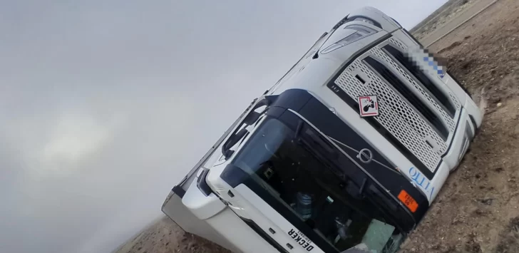 Camión volcó al intentar esquivar un guanaco en la ruta nacional 3