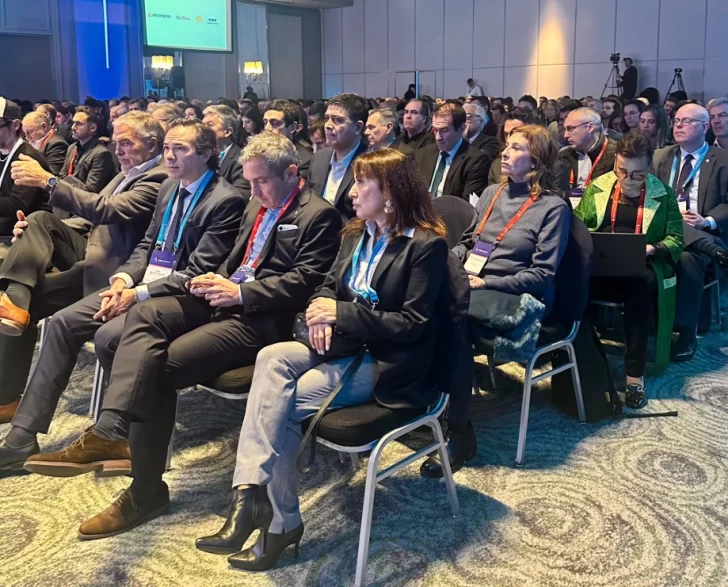 Roxana Reyes consideró a la energía como “motor del desarrollo federal”