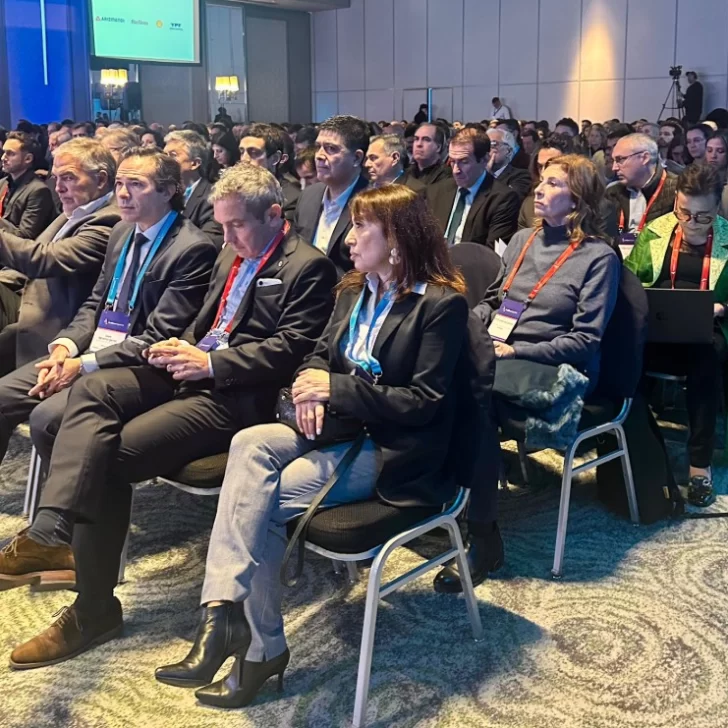 Roxana Reyes consideró a la energía como “motor del desarrollo federal” Roxana Reyes consideró a la energía como “motor del desarrollo federal”