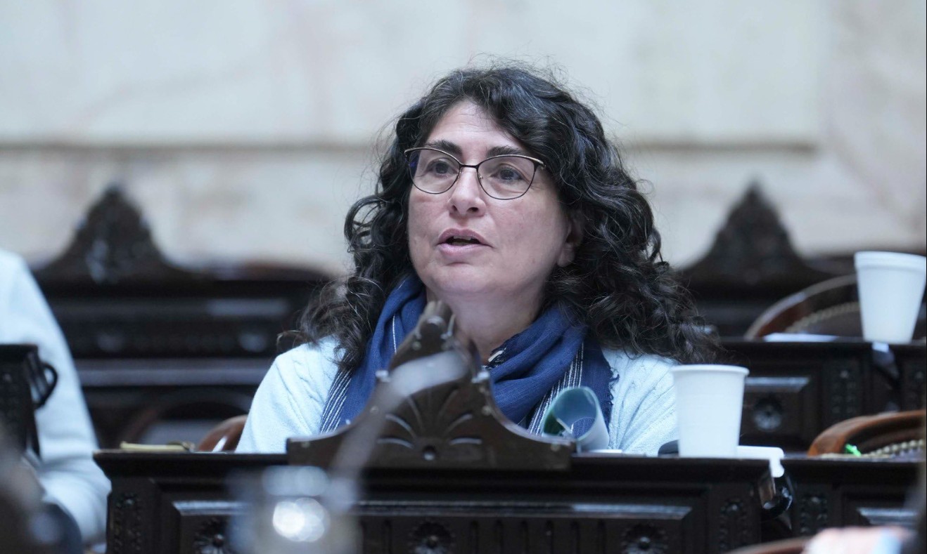  Ana María Ianni, diputada de la Nación por el Frente de Todos.