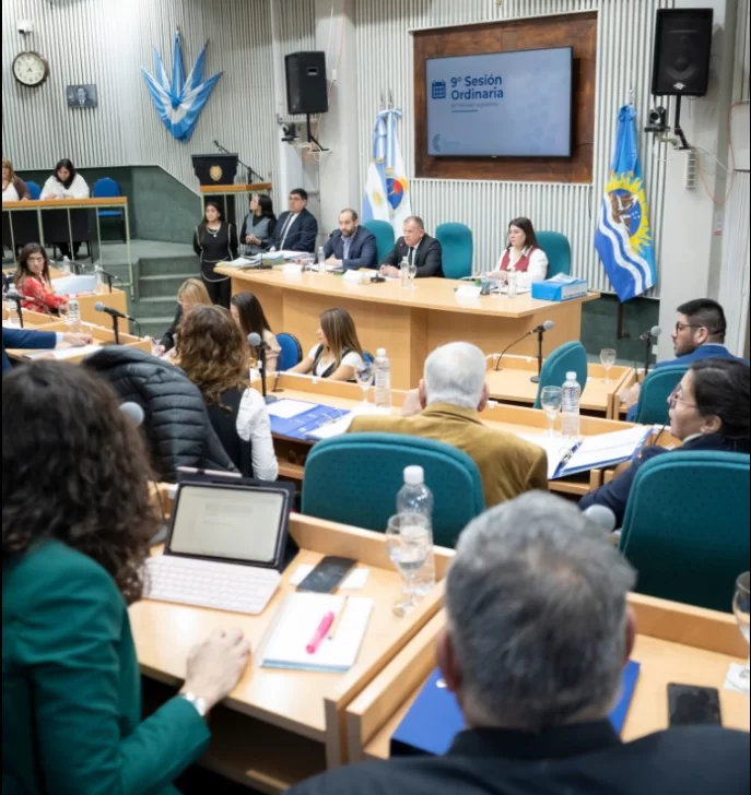 Los diputados santacruceños repudiaron el veto a la emergencia en discapacidad