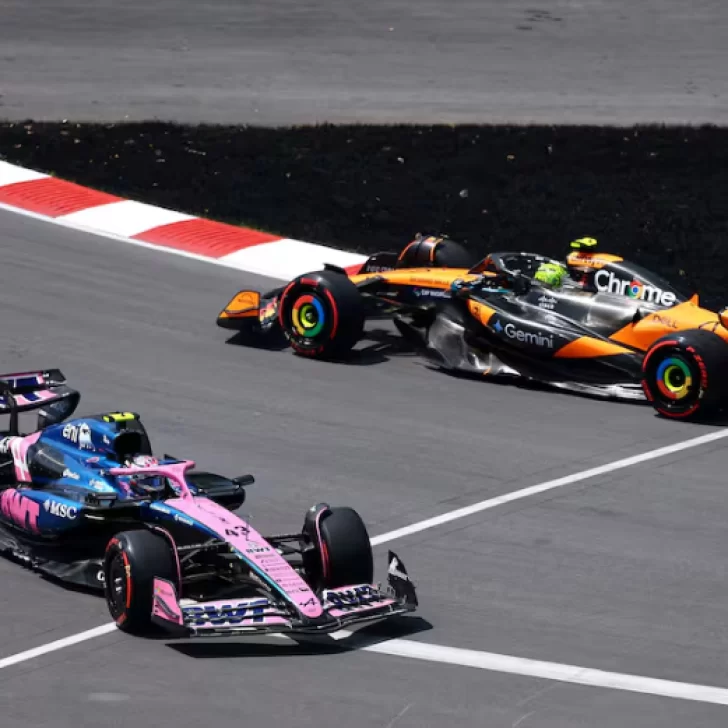 Pelota Libre, Roja Directa o Al Ángulo TV: dónde ver la carrera de Franco Colapinto en el Gran Premio de Países Bajos de la F1