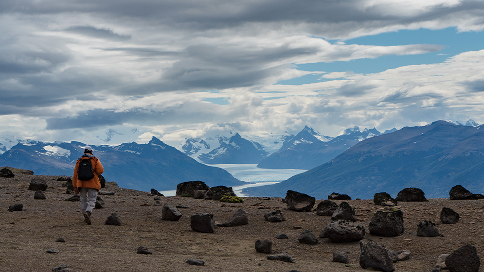  La campaña se realizó en la Estancia La Anita, en El Calafate. Foto: gentileza investigadores