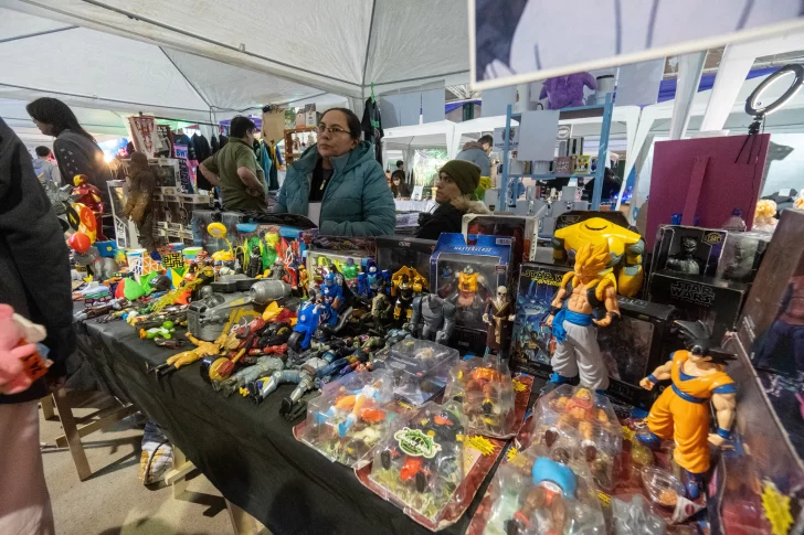 Más de 60 emprendedores y artistas participan de la Expo Joven