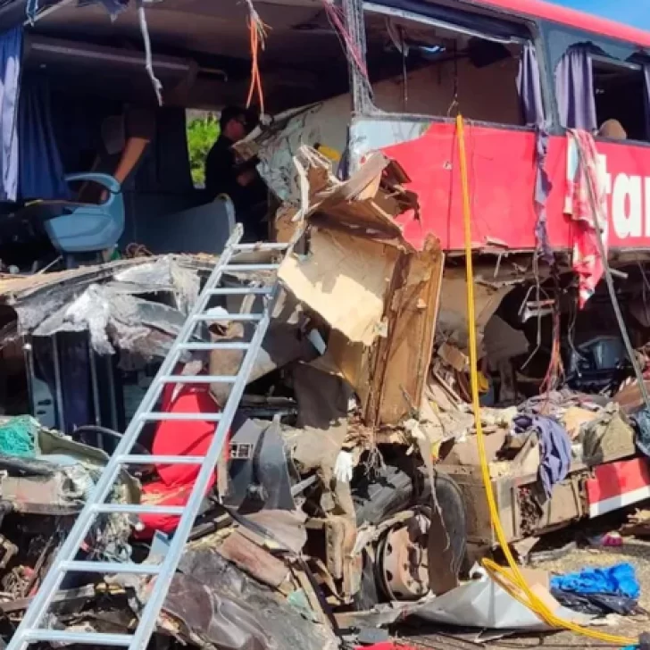 Tragedia en Brasil: 11 muertos y más de 40 heridos tras choque entre un camión y un micro