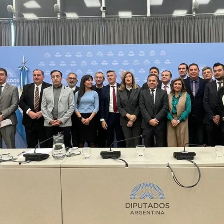 Impuesto a los combustibles: Pablo Grasso pidió por el “apoyo de todos los legisladores de Santa Cruz” Impuesto a los combustibles: Pablo Grasso pidió por el “apoyo de todos los legisladores de Santa Cruz”