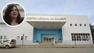 Milei acelera las privatizaciones con una herramienta digital: la carboeléctrica de Río Turbio está incluida