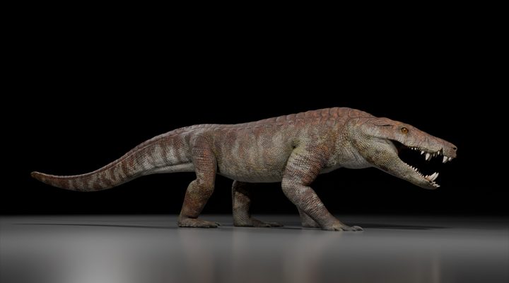  Reconstrucción de Kostensuchus atrox realizada por Gabriel Díaz Yanten.