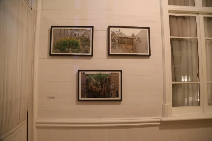 RECONSTRUIR-MEMORIA-BIENALSUR-PUNTA-ARENAS-BERTA-GIMENEZ-728x485 RECONSTRUIR-MEMORIA-BIENALSUR-PUNTA-ARENAS-BERTA-GIMENEZ-728x485