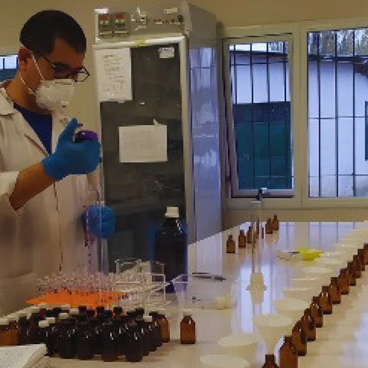 Microorganismos, la llave para entender la producción del suelo