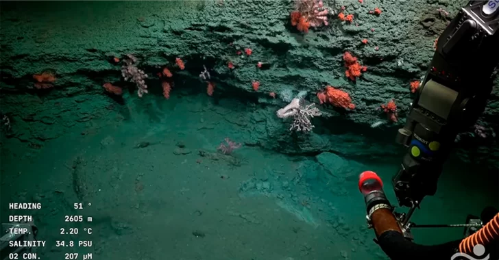 Conicet terminó su expedición en Mar del Plata y estrenará streaming desde la Patagonia