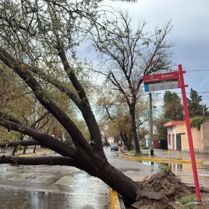 La Tormenta de Santa Rosa generó inundaciones, granizo y evacuados en Buenos Aires, Mendoza y Catamarca La Tormenta de Santa Rosa generó inundaciones, granizo y evacuados en Buenos Aires, Mendoza y Catamarca