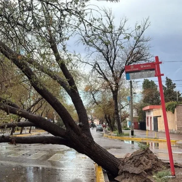La Tormenta de Santa Rosa generó inundaciones, granizo y evacuados en Buenos Aires, Mendoza y Catamarca