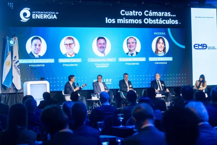 VII-Forum-Nacional-de-Energia-organizado-por-LIDE-Argentina-3-728x486 VII-Forum-Nacional-de-Energia-organizado-por-LIDE-Argentina-3-728x486