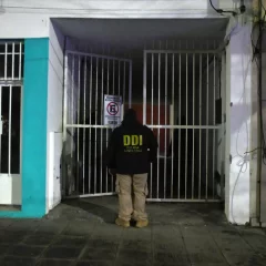 Allanamiento a una ONG de Río Gallegos: encontraron más de 200 plantas de marihuana