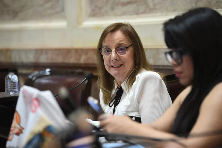 Alicia Kirchner respaldó la Ley de Emergencia Pediátrica: “El futuro del país es nuestra infancia”