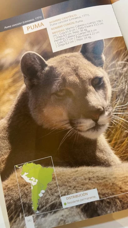 Newmont refuerza su compromiso con la conservación de la biodiversidad en Santa Cruz