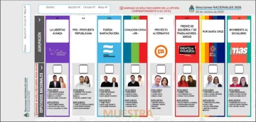 Elecciones 2025: las tres bancas que renueva Santa Cruz y por primera vez con boleta única de papel Elecciones 2025: las tres bancas que renueva Santa Cruz y por primera vez con boleta única de papel