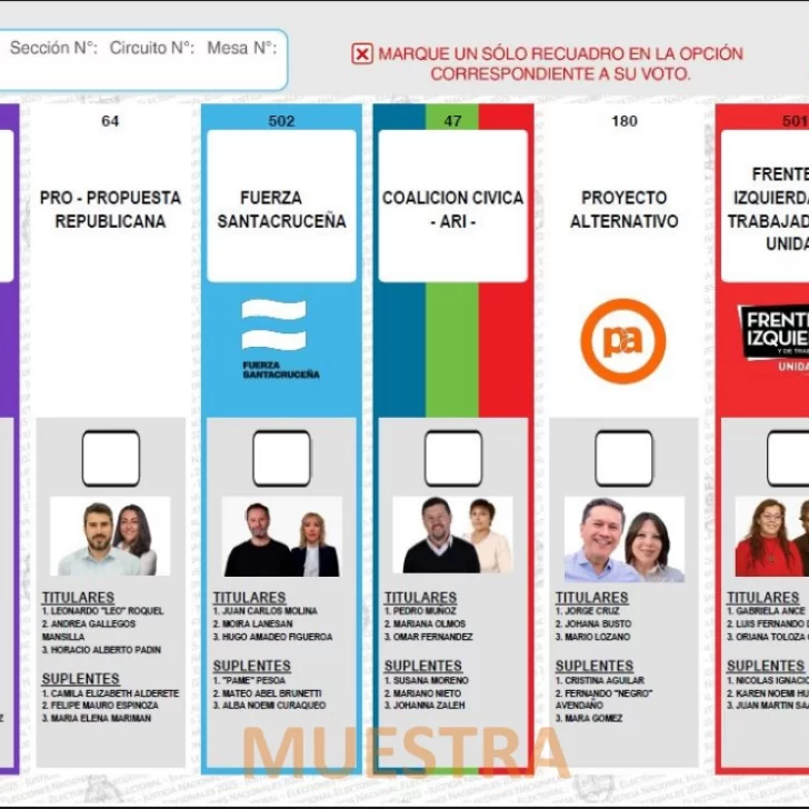 Elecciones 2025: las tres bancas que renueva Santa Cruz y por primera vez con boleta única de papel Elecciones 2025: las tres bancas que renueva Santa Cruz y por primera vez con boleta única de papel