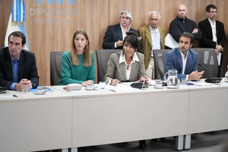  Los diputados de la comisión de Energía deberán analizar una nueva distribución en el Impuesto a los Combustibles.