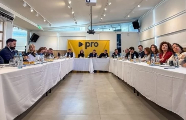 Designaron un nuevo  interventor en el PRO Santa Cruz