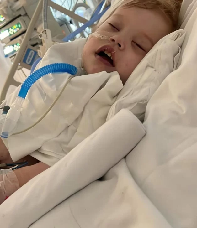  La noticia significó un golpe para la familia: “Era el único órgano que ella no tenía comprometido”