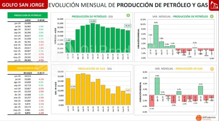 En el primer semestre, se ratificó el declino de la producción en la Cuenca del Golfo San Jorge