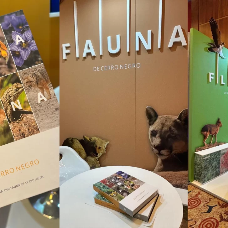 Newmont refuerza su compromiso con la conservación de la biodiversidad en Santa Cruz