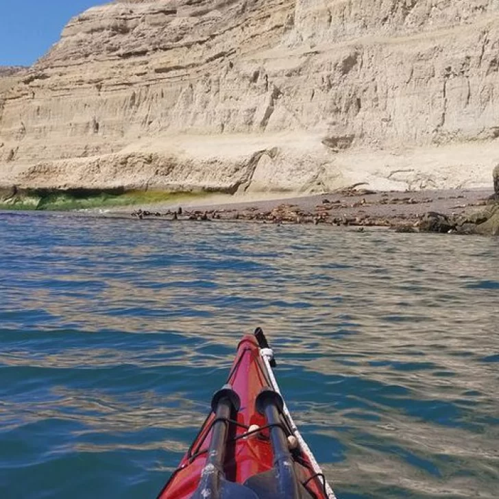 Horror en Puerto Madryn: ofrecía paseos falsos en kayak para abusar de mujeres Horror en Puerto Madryn: ofrecía paseos falsos en kayak para abusar de mujeres