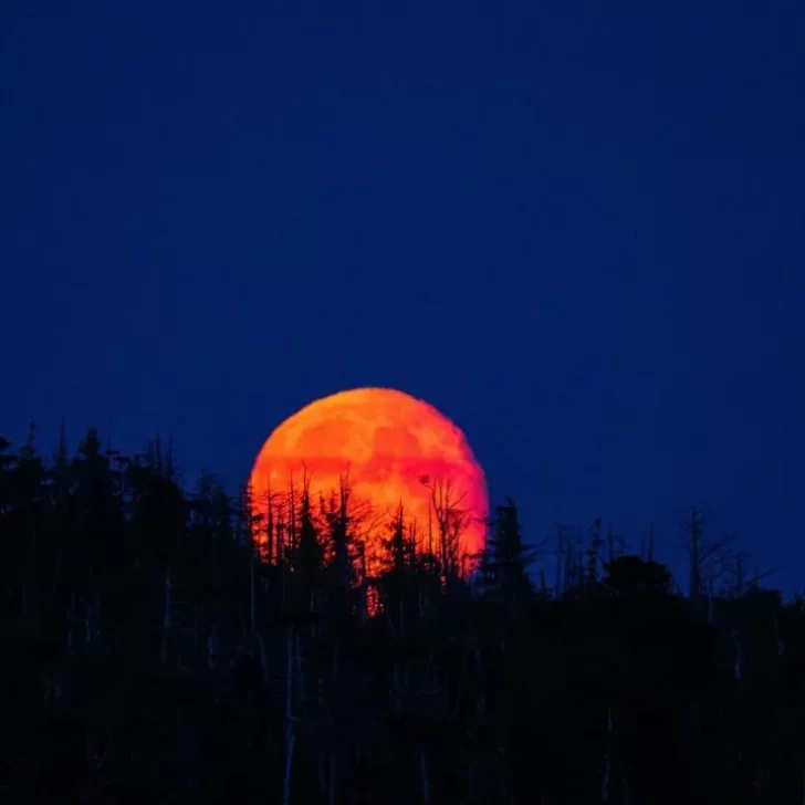 Eclipse total: se podrá observar una Luna de Sangre en septiembre Eclipse total: se podrá observar una Luna de Sangre en septiembre