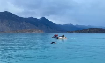 Inicia el tercer cruce del Lago Argentino en la mañana del sábado Inicia el tercer cruce del Lago Argentino en la mañana del sábado