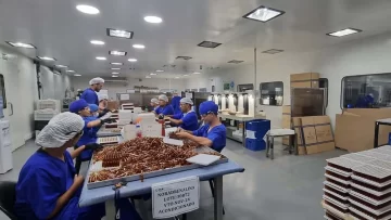 Fentanilo contaminado: revelan informe oficial que detalla fallas graves en la producción del medicamento que mató a 96 pacientes