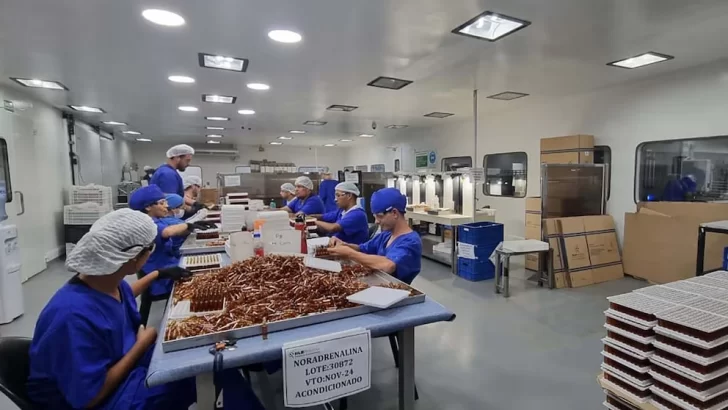 Fentanilo contaminado: revelan informe oficial que detalla fallas graves en la producción del medicamento que mató a 96 pacientes