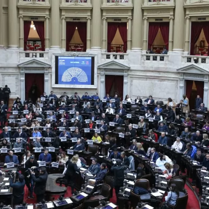Con Sergio Acevedo y Roxana Reyes, la oposición logró quórum para el financiamiento universitario y la emergencia en el Hospital Garrahan Con Sergio Acevedo y Roxana Reyes, la oposición logró quórum para el financiamiento universitario y la emergencia en el Hospital Garrahan
