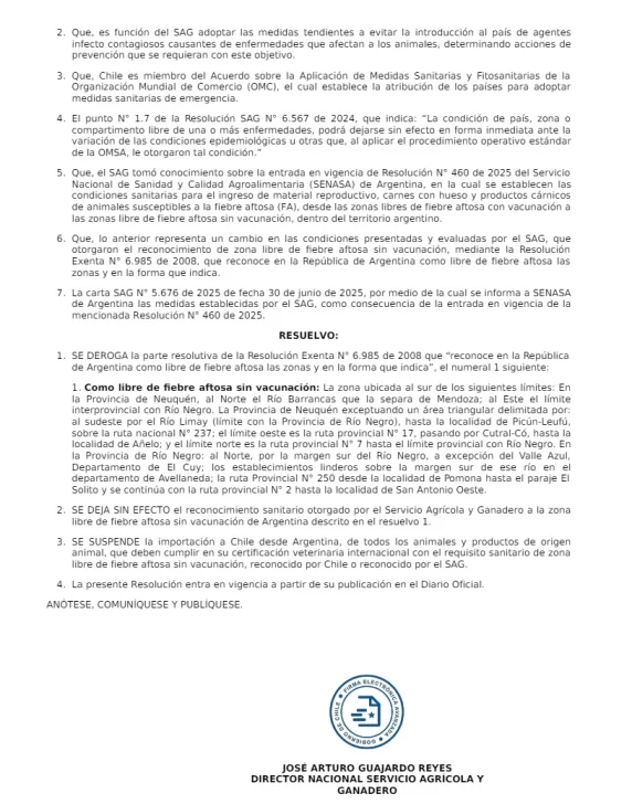 Chile cerró el ingreso de carne argentina con hueso al país por la flexibilización de la barrera sanitaria