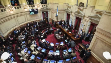 En vivo: el Senado debate la Ley de Financiamiento Universitario y de Emergencia Pediátrica