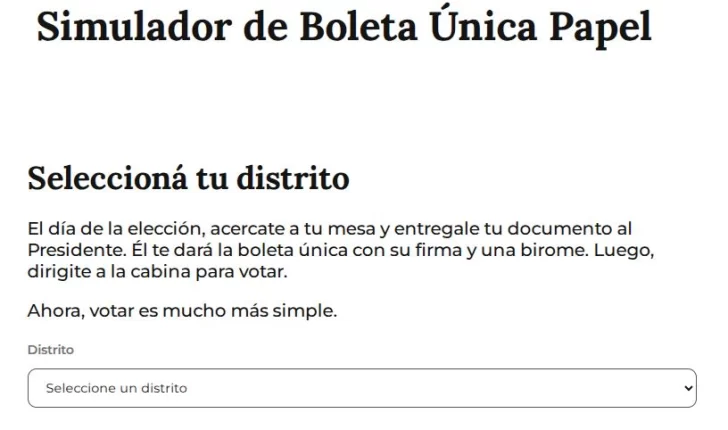 Elecciones en Santa Cruz: ya podés probar el simulador online de la Boleta Única de Papel