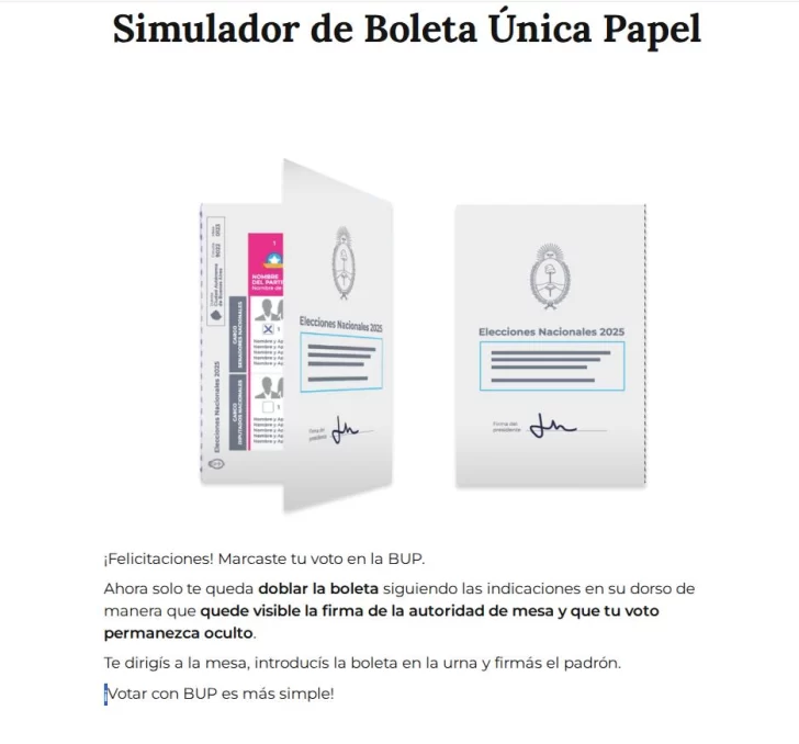 Elecciones en Santa Cruz: ya podés probar el simulador online de la Boleta Única de Papel