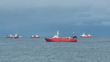 Datos alicientes para la zafra del Langostino: buenas capturas y de tallas grandes Datos alicientes para la zafra del Langostino: buenas capturas y de tallas grandes