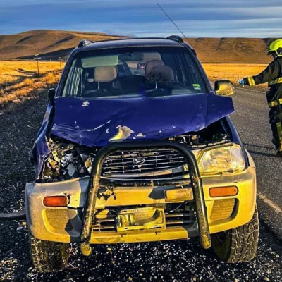 Accidente en la Ruta 40: no alcanzó a frenar y embistió a una vaca que se le cruzó Accidente en la Ruta 40: no alcanzó a frenar y embistió a una vaca que se le cruzó