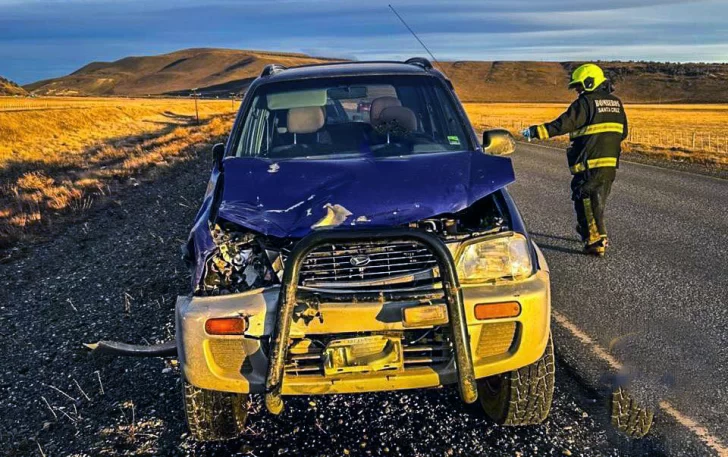 Accidente en la Ruta 40: no alcanzó a frenar y embistió a una vaca que se le cruzó