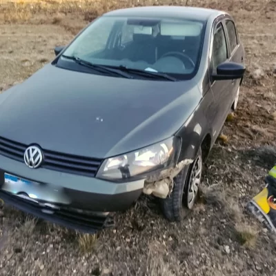 Se le cruzó un guanaco en la ruta, no alcanzó a frenar y lo embistió: terminó en la banquina