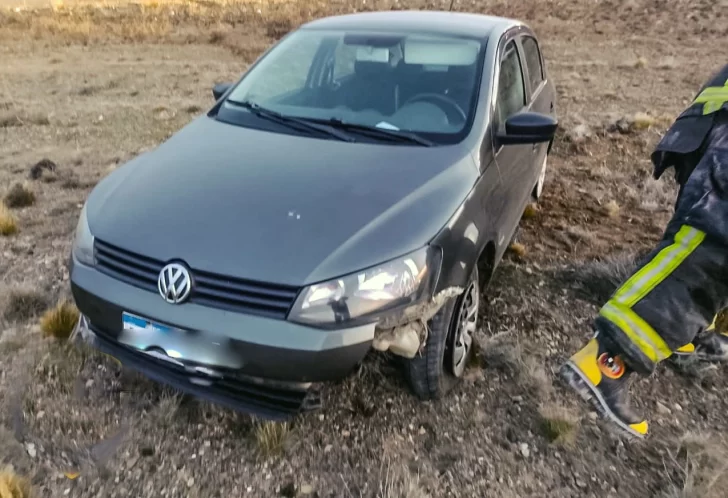 Se le cruzó un guanaco en la ruta, no alcanzó a frenar y lo embistió: terminó en la banquina